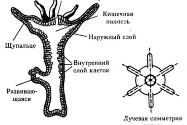 Ссылка на омг омг fb