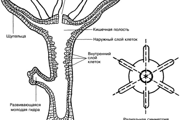 Омг омг зеркало сайт